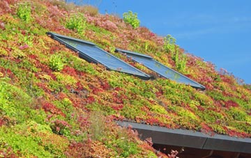 Cotham living roof systems