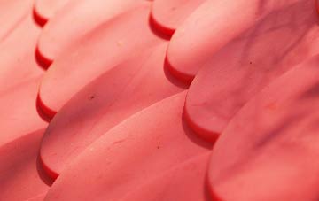 Cotham plastic roof costs